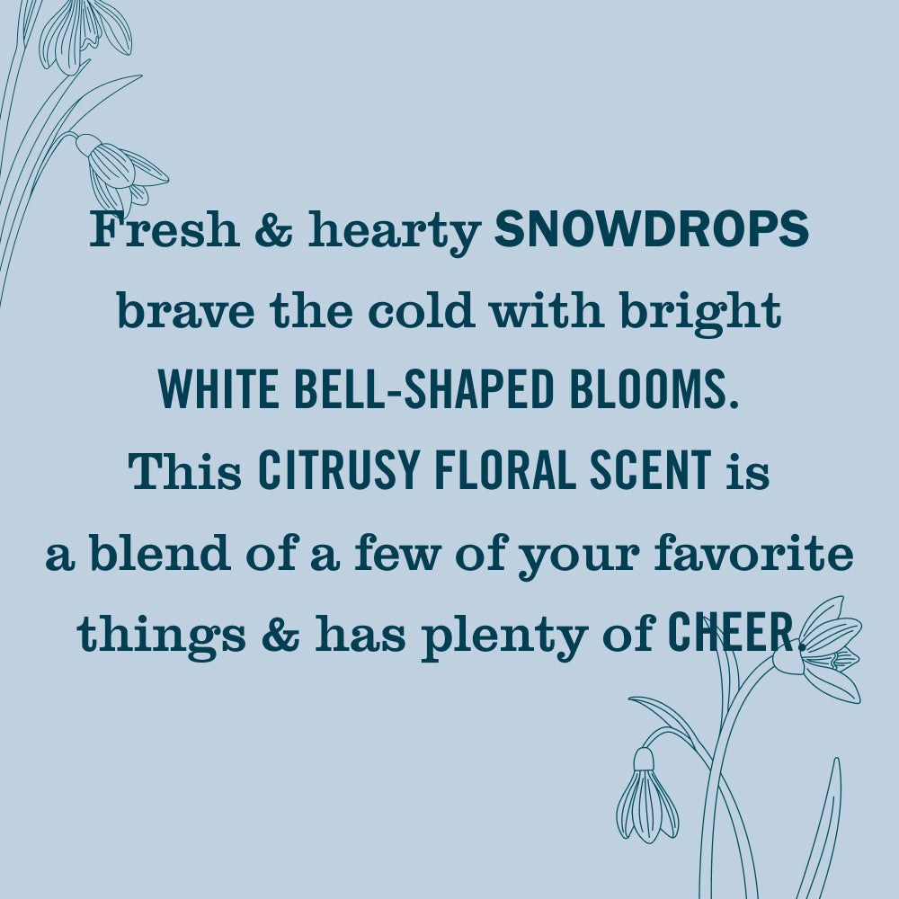 Scented Snowdrop Plug In Scented Oil Warmer With Refill