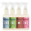 Versatile Holiday Seasonal Multi-Surface Everyday Cleaner Collection