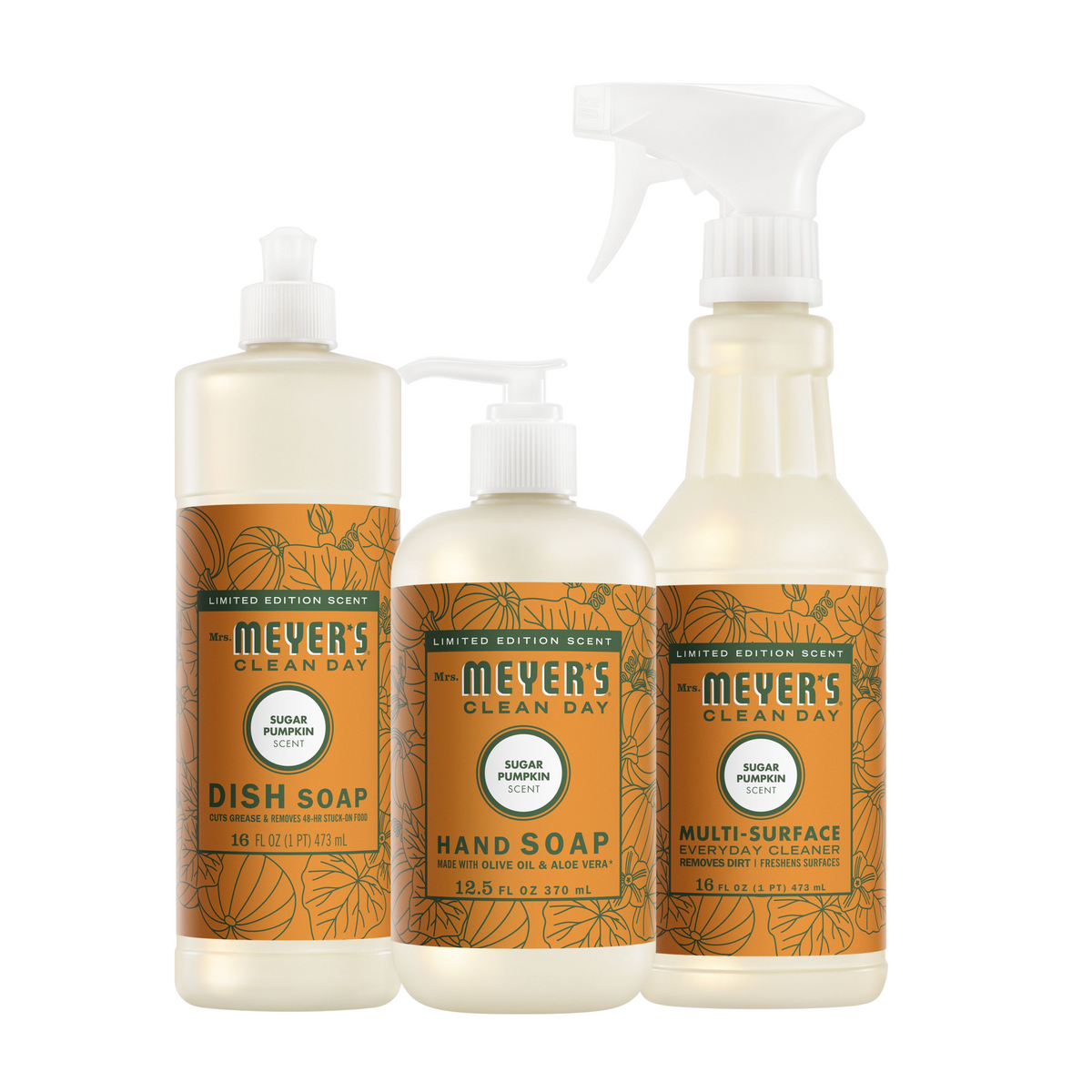 Essential Sugar Pumpkin Kitchen Basics Set