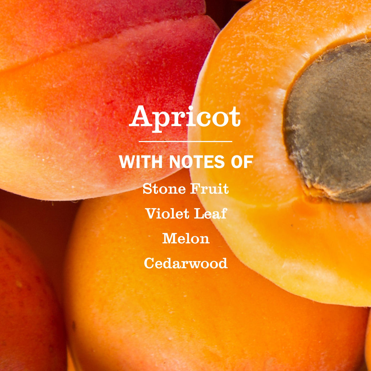 Gentle Apricot Liquid Hand Soap