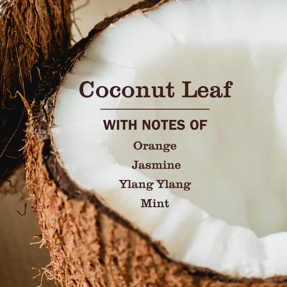 Versatile Coconut Leaf  Pet Multi-Surface Cleaner