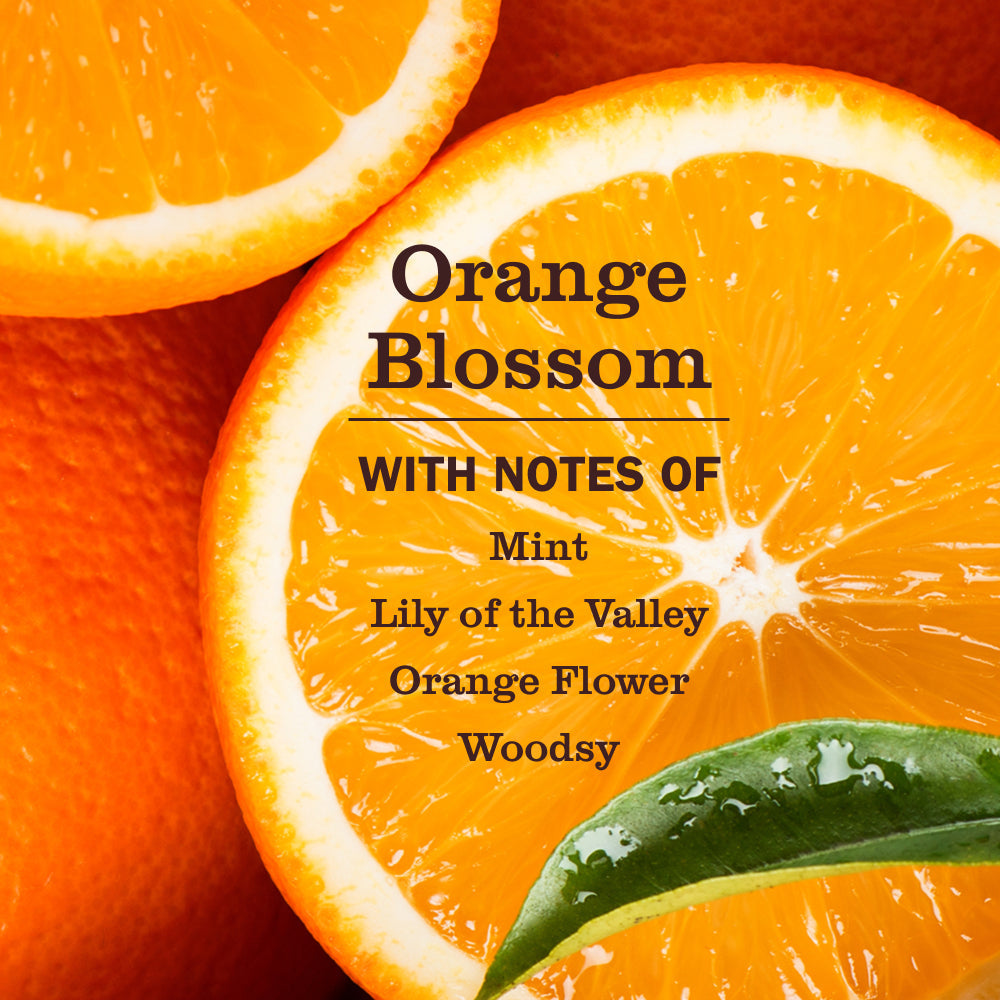 Effective Orange Blossom Pet Stain & Odor Fighter