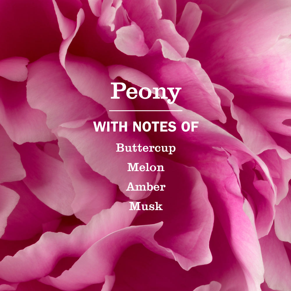 Effective Peony Dish Soap Refill