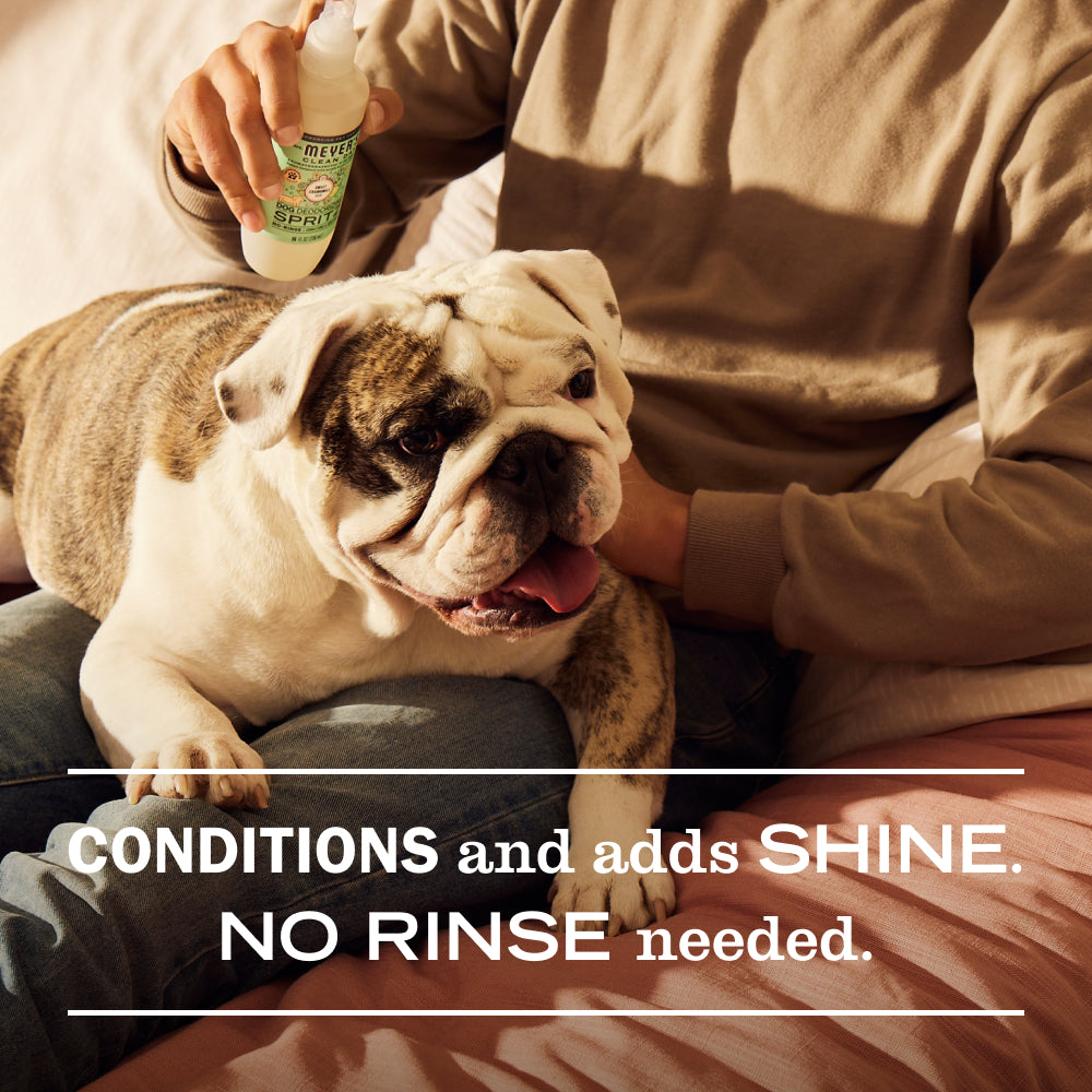 Refreshing Sweet Chamomile Dog Deodorizing Spritz