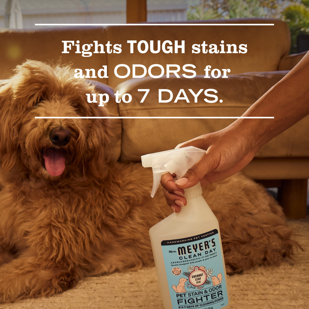 Effective Coconut Leaf Pet Stain & Odor Fighter