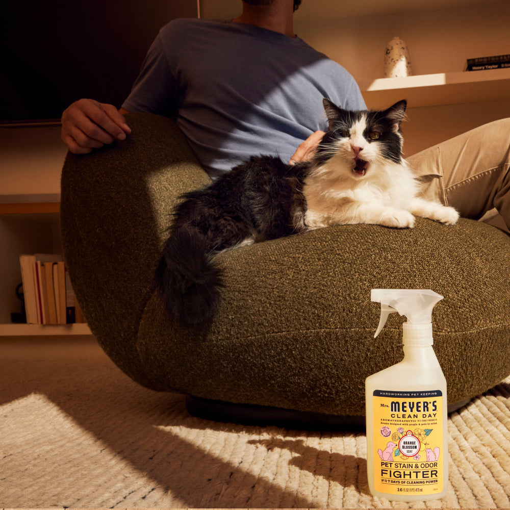 Effective Orange Blossom Pet Stain & Odor Fighter