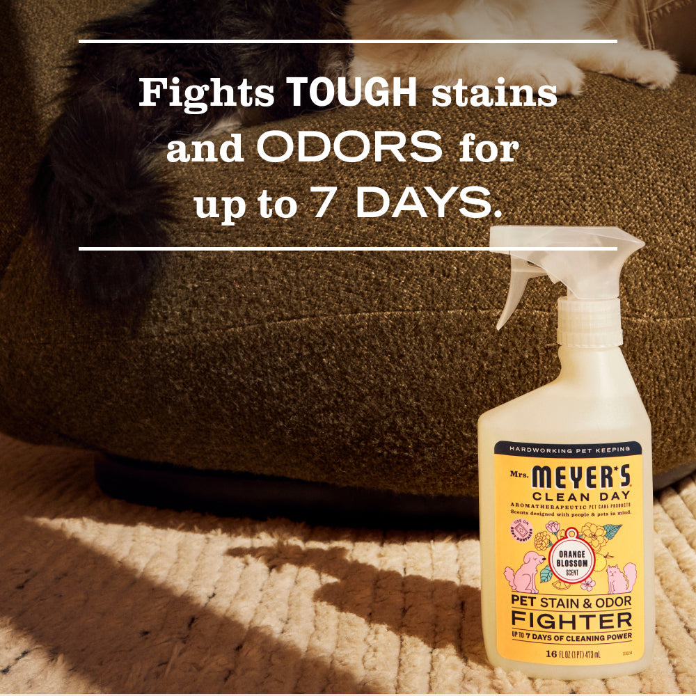 Effective Orange Blossom Pet Stain & Odor Fighter