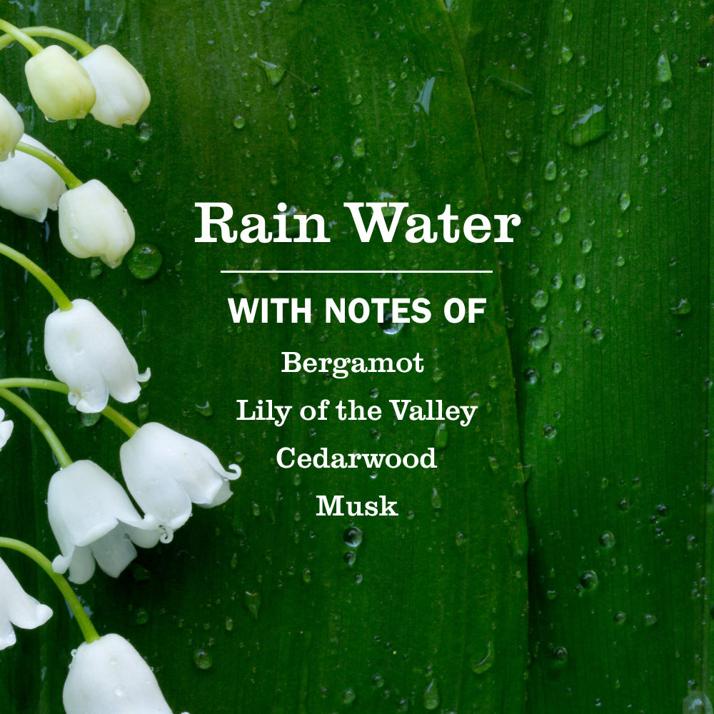 Convenient Rain Water Plug In Scented Oil Refill, 2-Pack