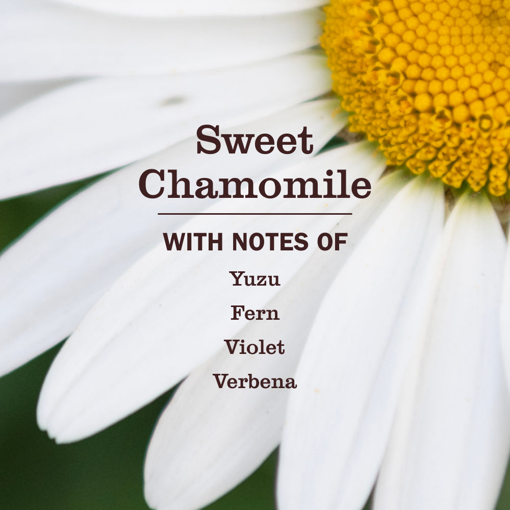 Refreshing Sweet Chamomile Dog Deodorizing Spritz