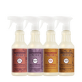 Versatile Fall Seasonal Multi-Surface Everyday Cleaner Collection
