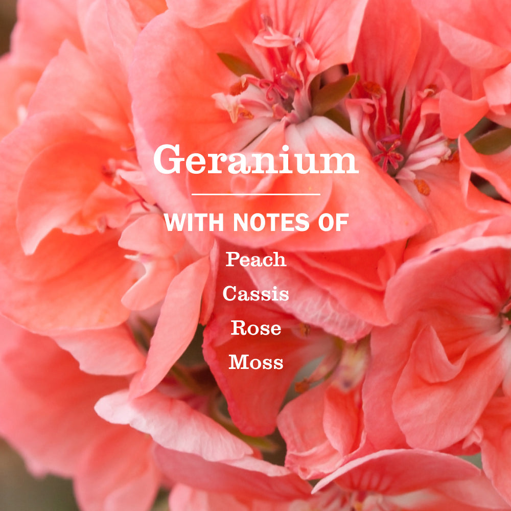 Gentle Geranium Liquid Hand Soap Refill