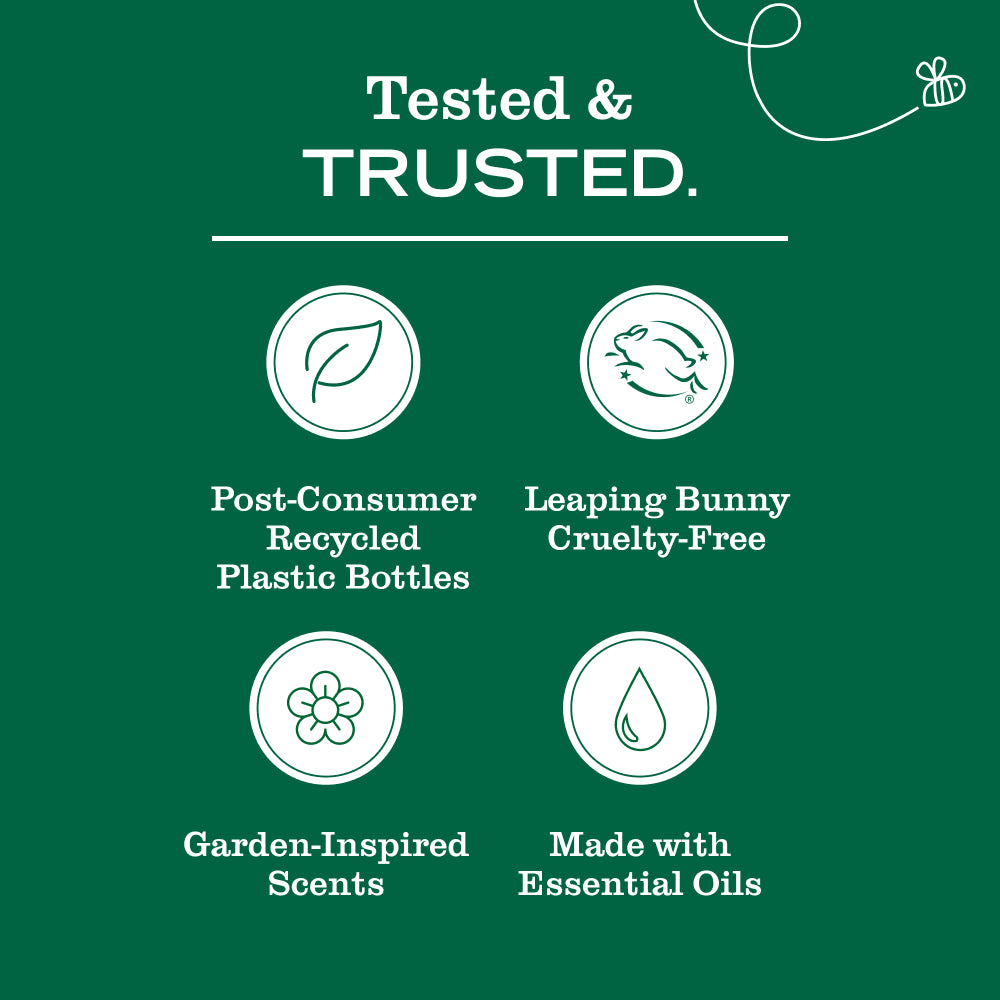 Gentle Elderberry Liquid Hand Soap 3-count Bundle