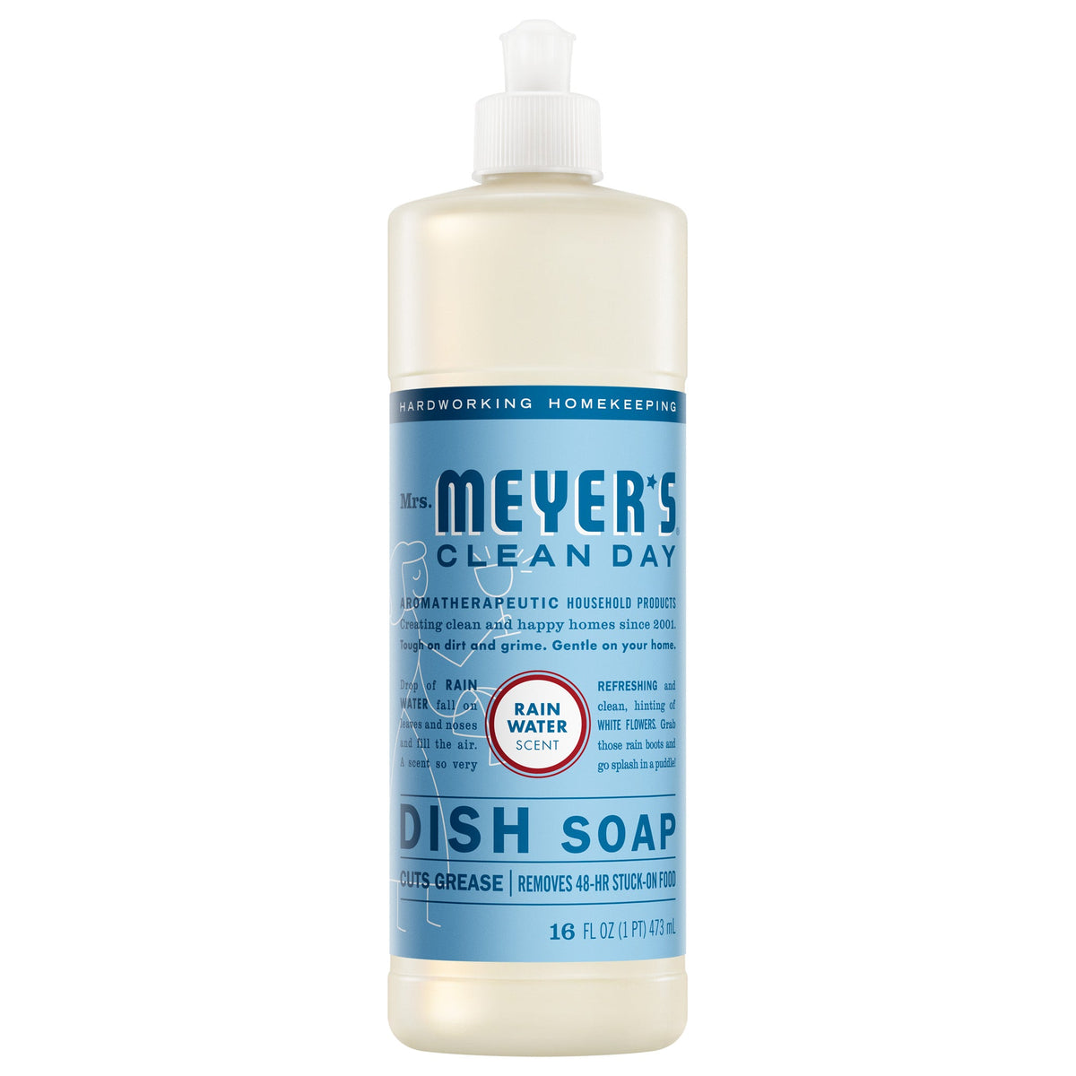 Effective Rain Water Dish Soap
