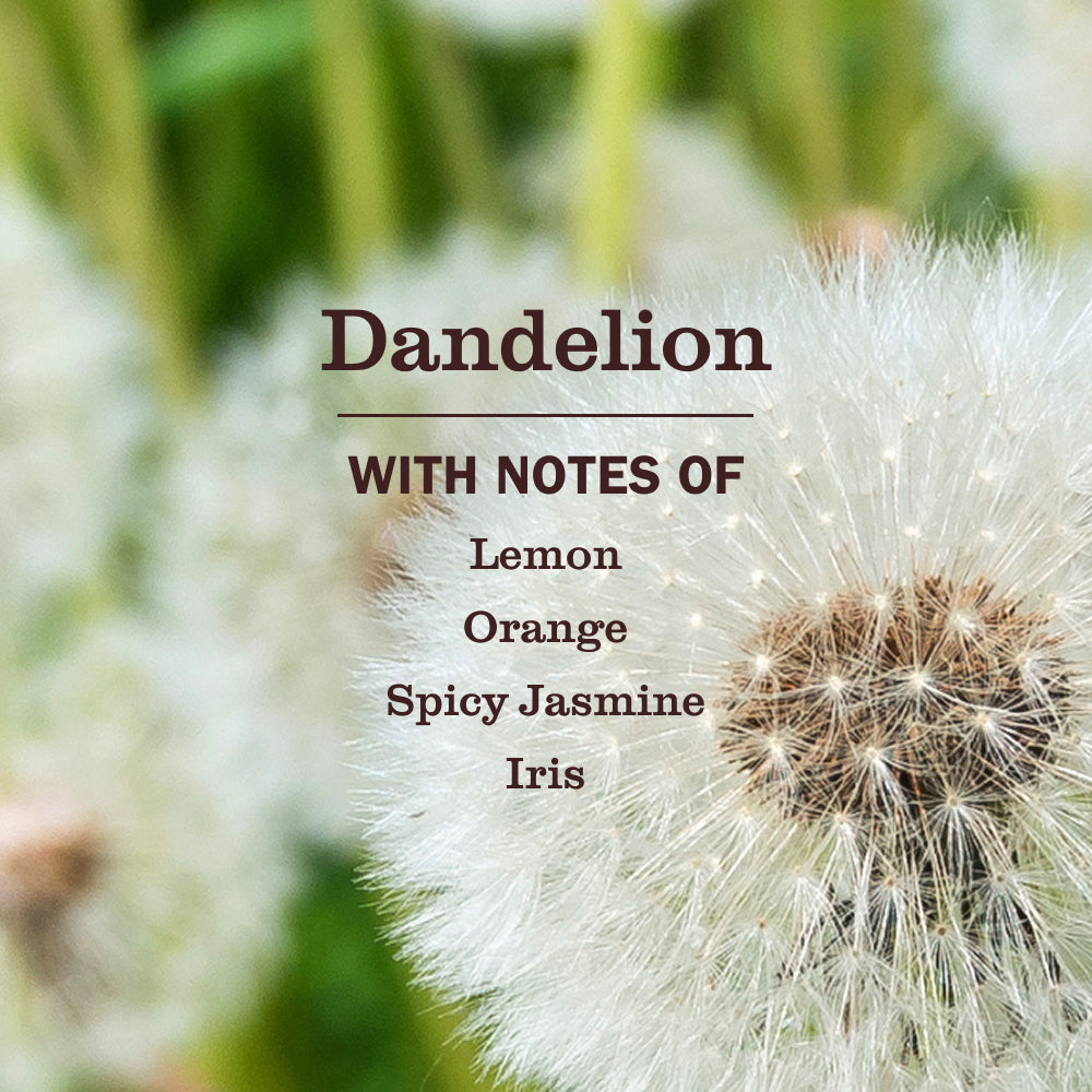 Effective Dandelion Liquid Dish Soap