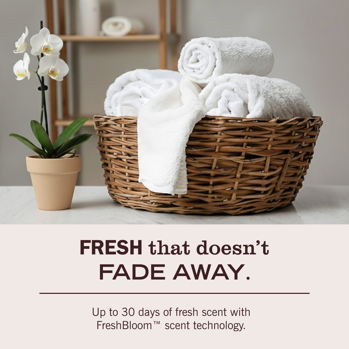 Effective Honeysuckle Laundry Detergent