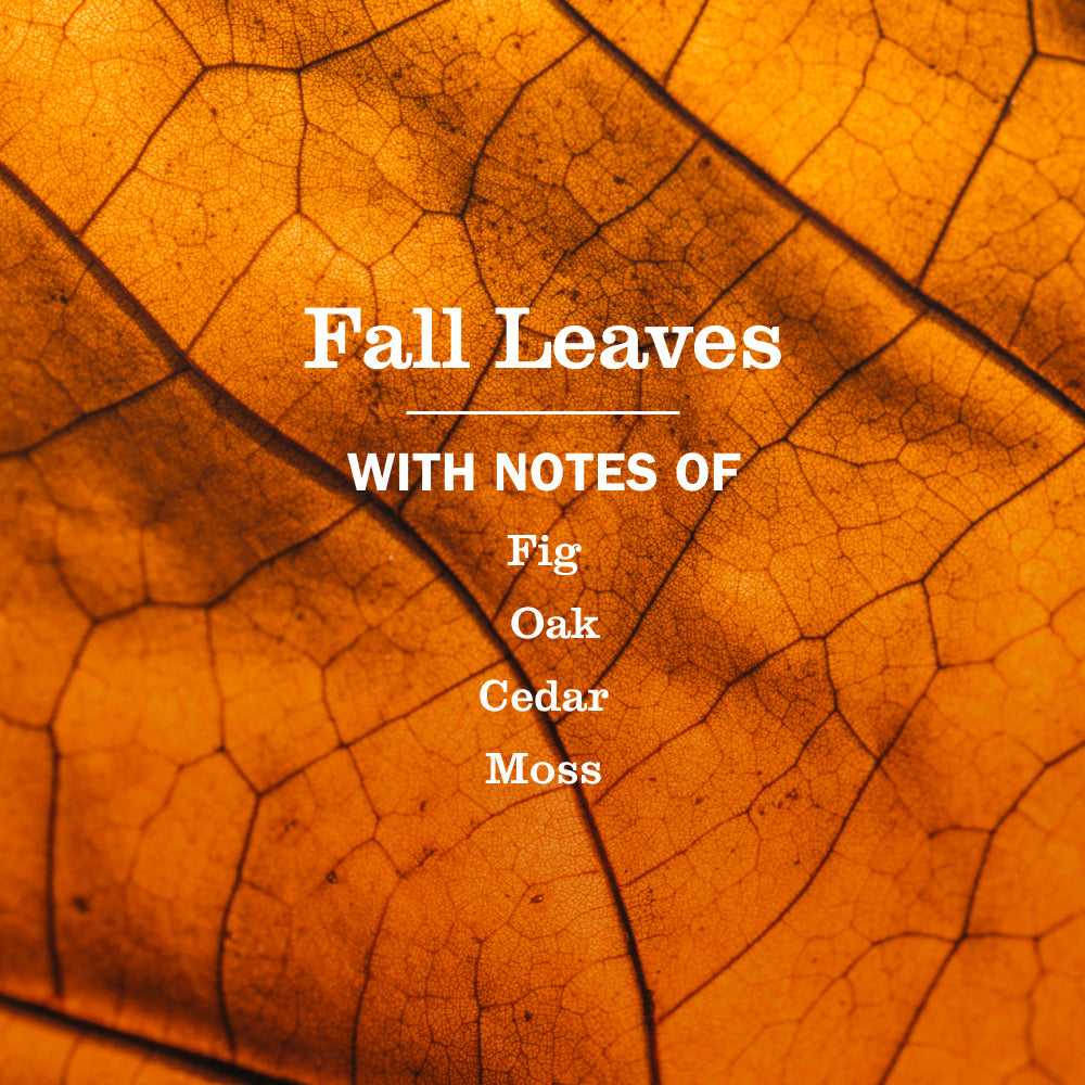 Gentle Fall Leaves Liquid Hand Soap