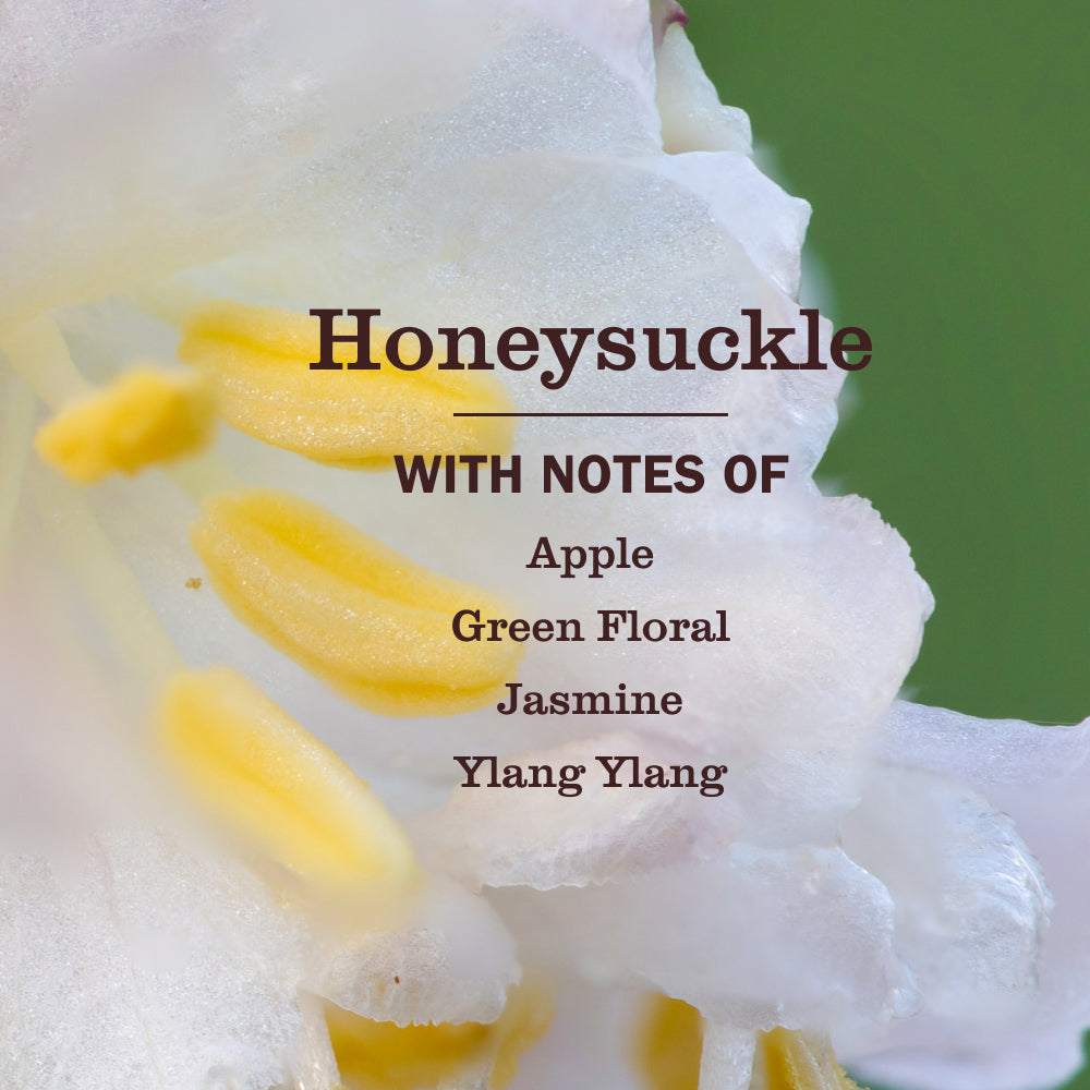 Concentrated Honeysuckle Multi-Surface Concentrate