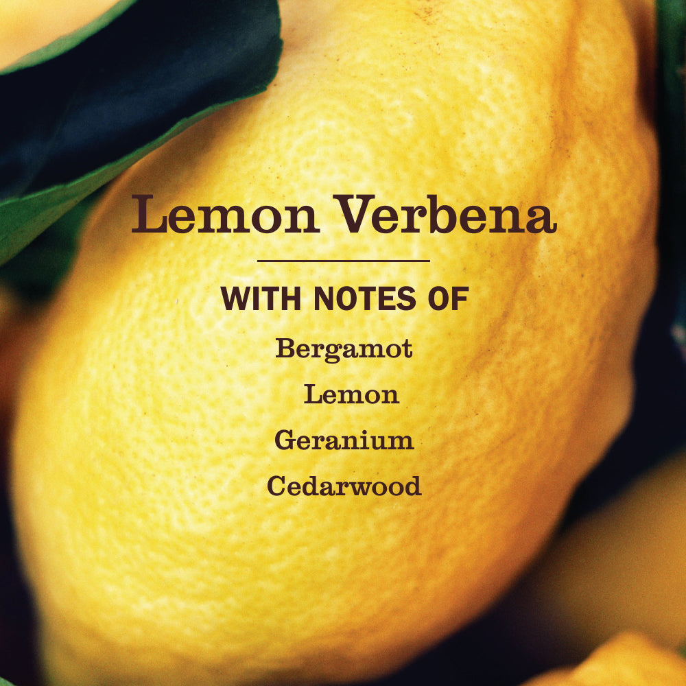 Concentrated Lemon Verbena Multi-Surface Concentrate