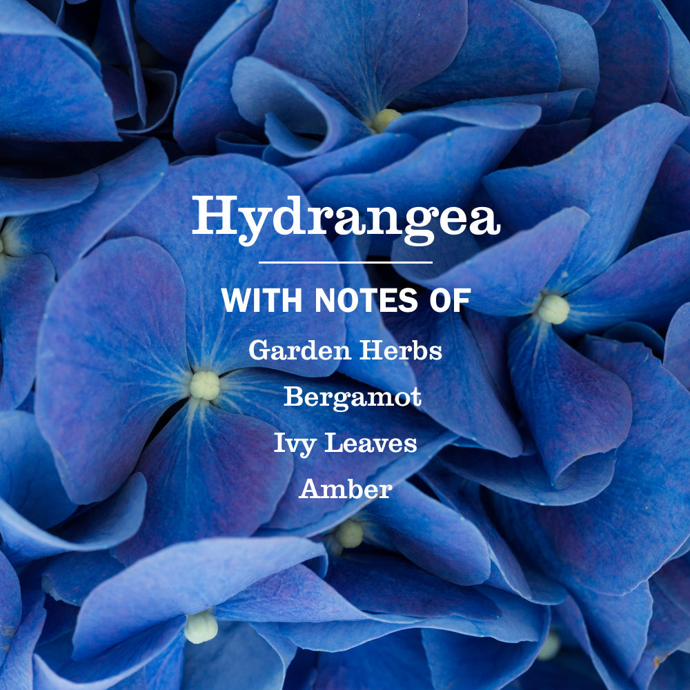Gentle Hydrangea Liquid Hand Soap