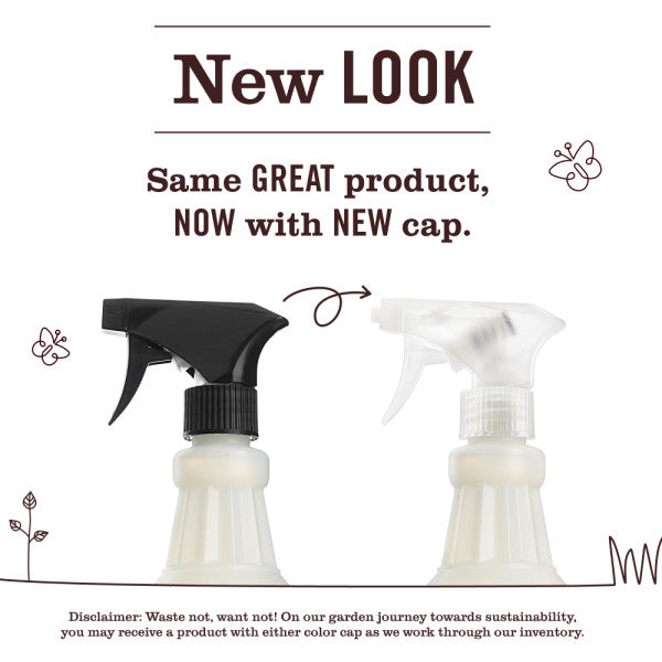 Versatile Spring Seasonal Multi-Surface Everyday Cleaner Collection