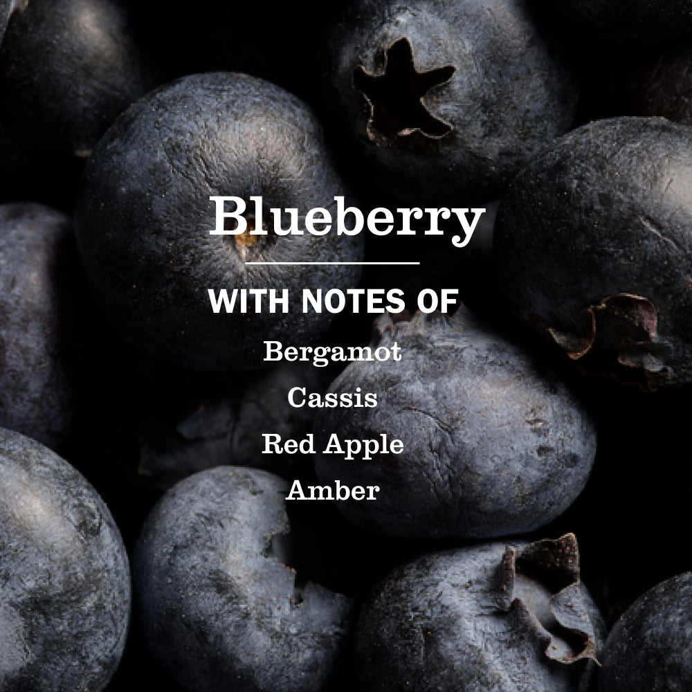 Refreshing Blueberry Room Freshener