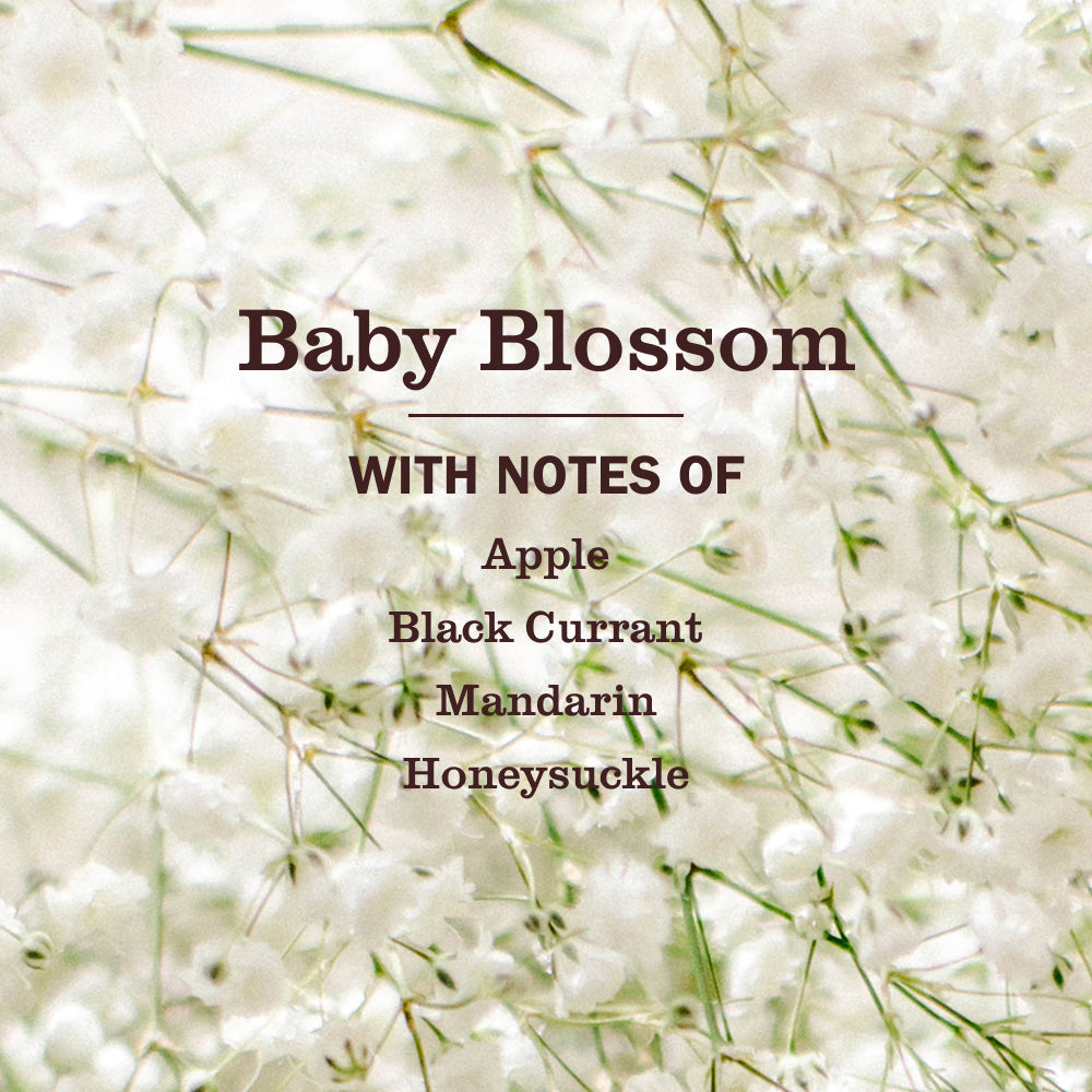 Effective Baby Blossom Laundry Detergent