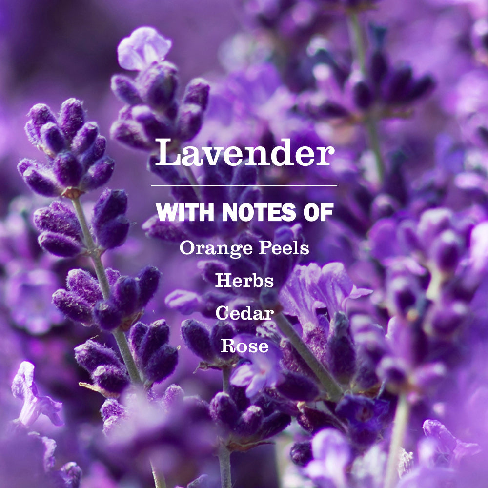 Effective Lavender Ultra Concentrated Laundry Detergent