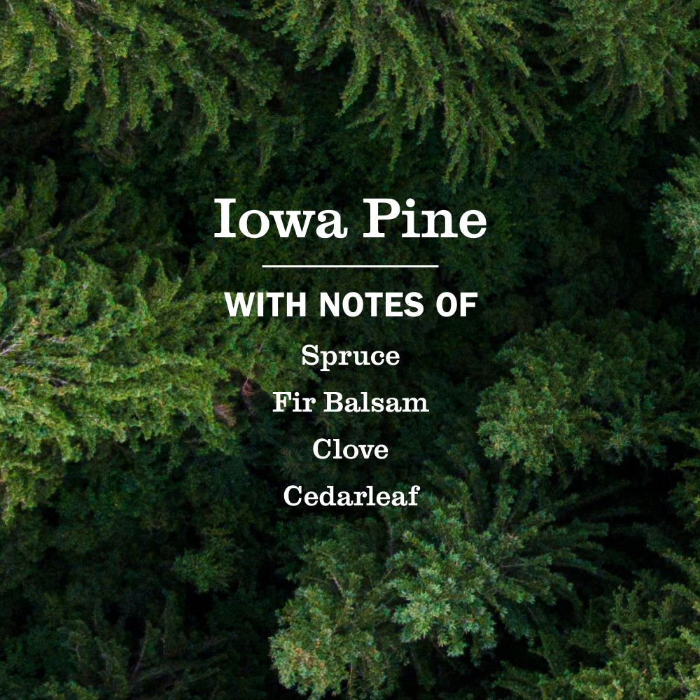 Inviting Iowa Pine Soy Candle Large