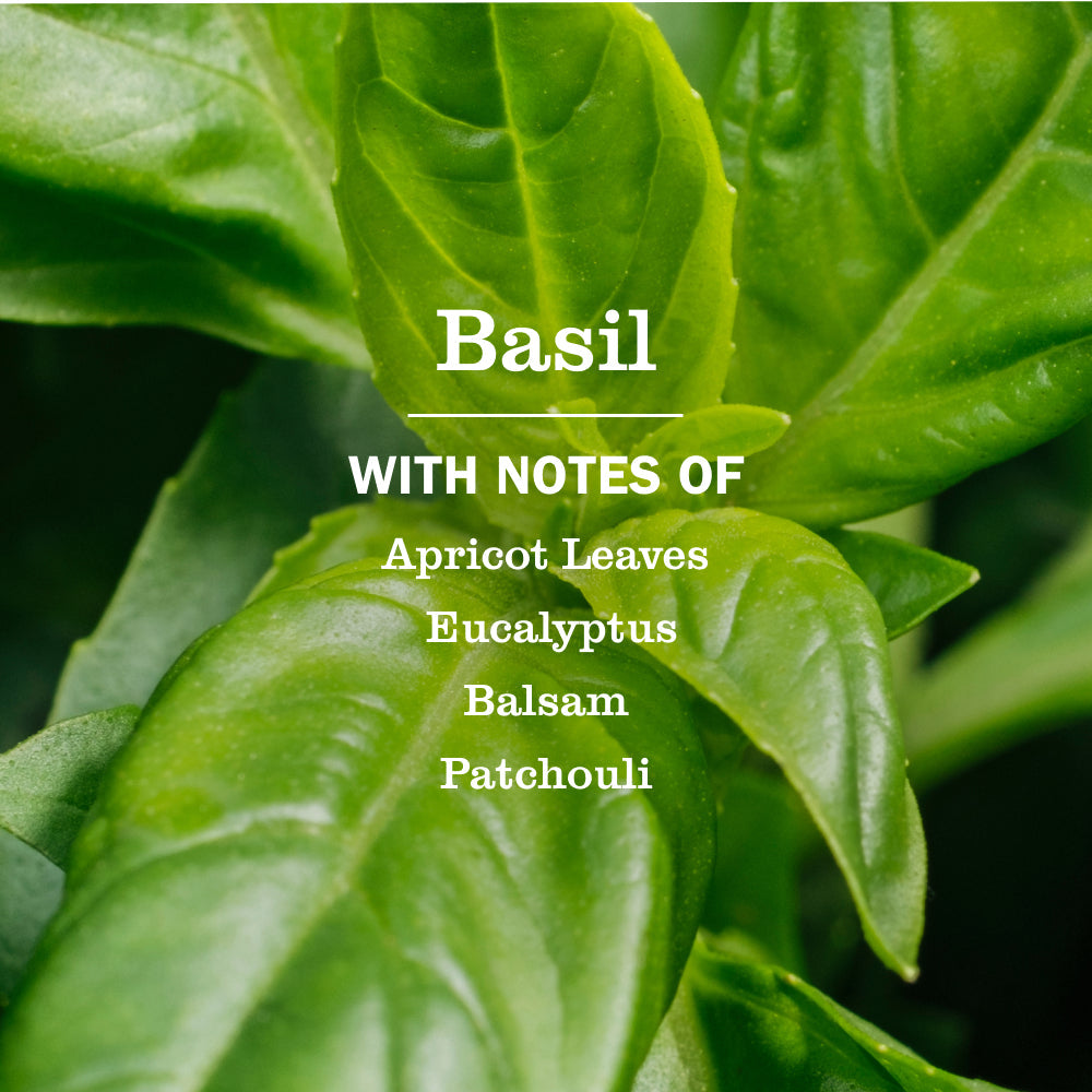 Effective Basil Laundry Detergent