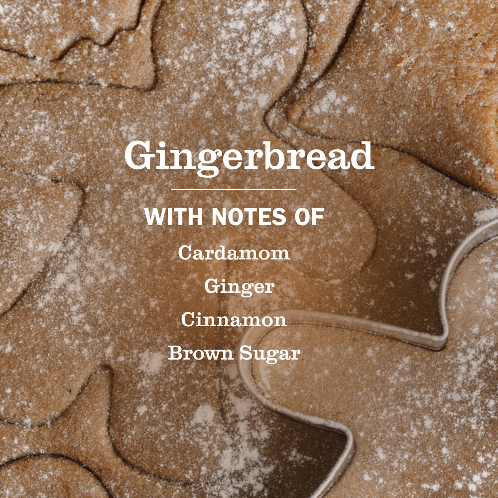 Effective Gingerbread Dish Soap