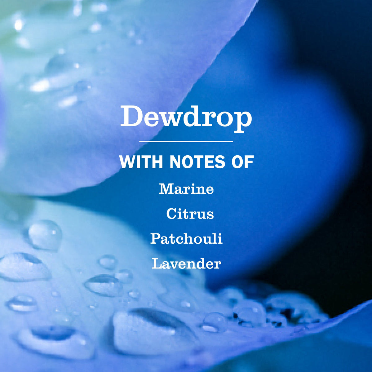 Effective Dewdrop Dish Soap