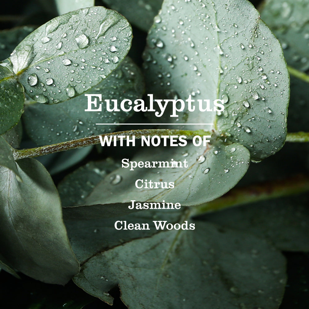 Gentle Eucalyptus Liquid Hand Soap