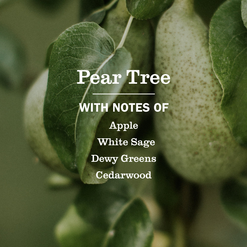 Gentle Pear Tree Liquid Hand Soap