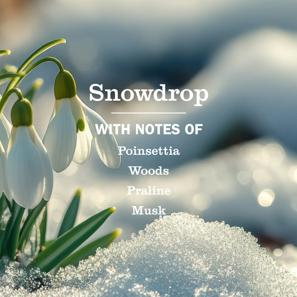 Versatile Snowdrop Multi-Surface Everyday Cleaner