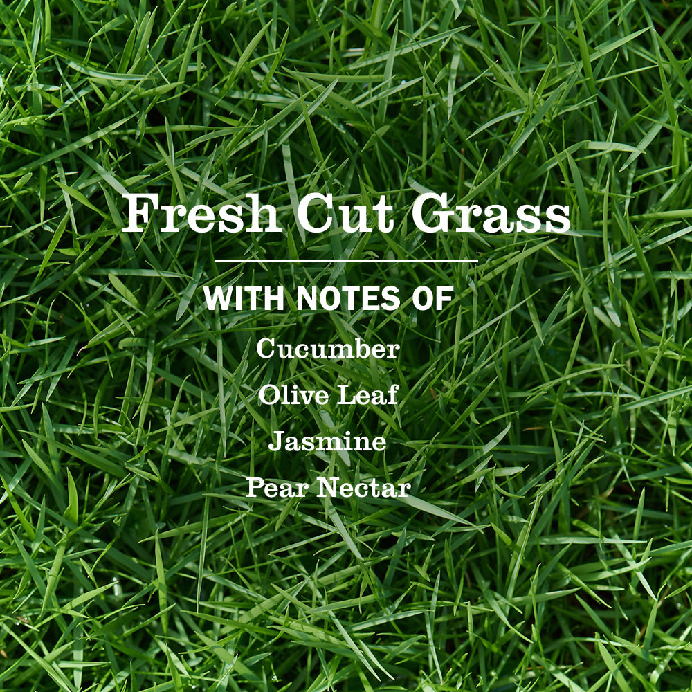 Fresh Cut Grass Dish Soap 3-count Bundle