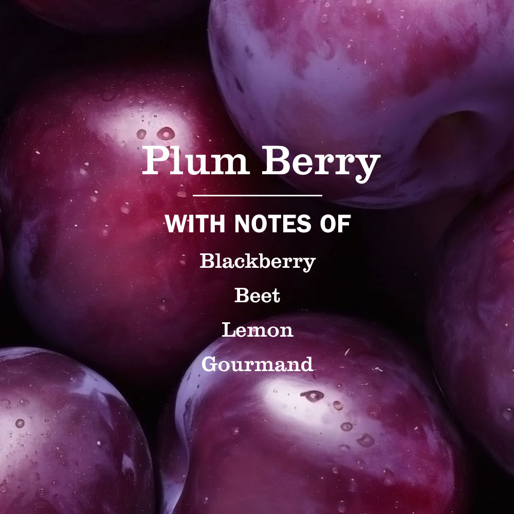 Gentle Plum Berry Liquid Hand Soap