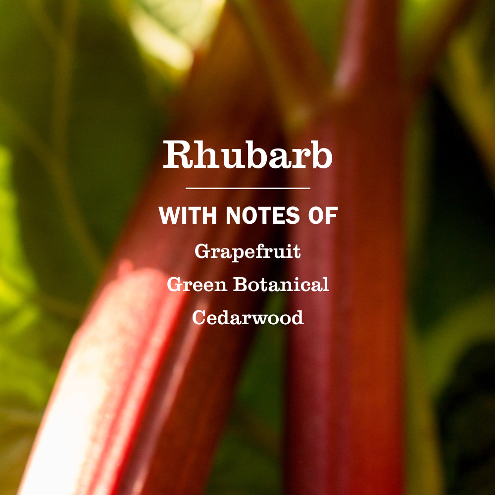 Gentle Rhubarb Liquid Hand Soap