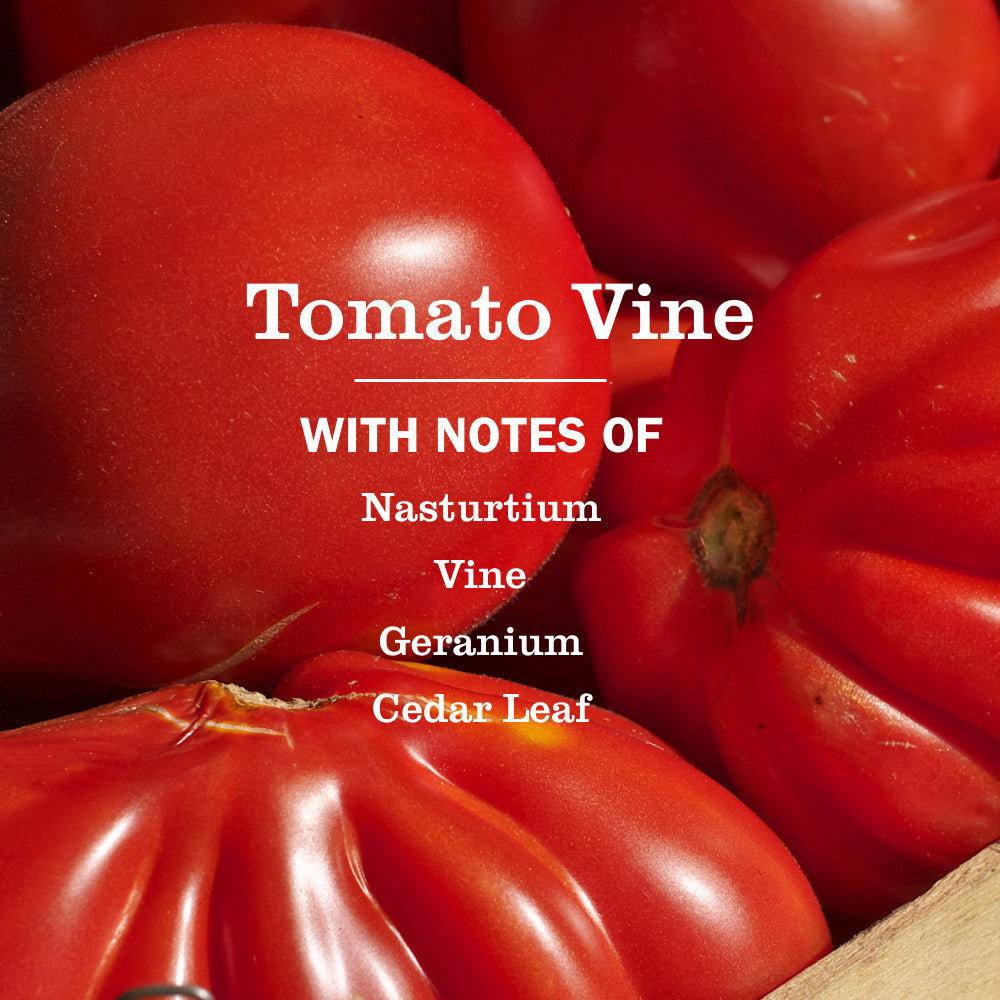 Effective Tomato Vine Liquid Dish Soap
