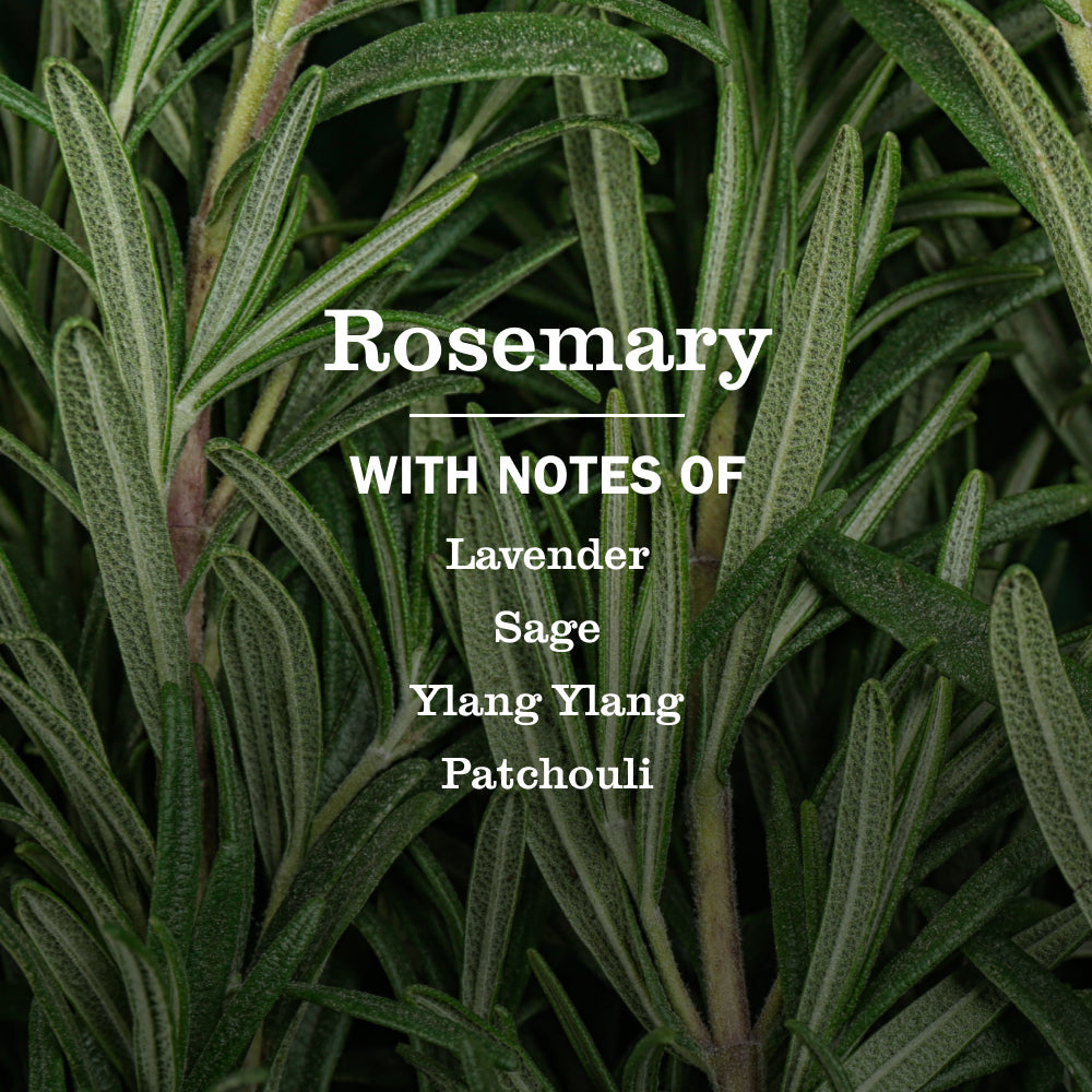 Versatile Rosemary Multi-Surface Everyday Cleaner